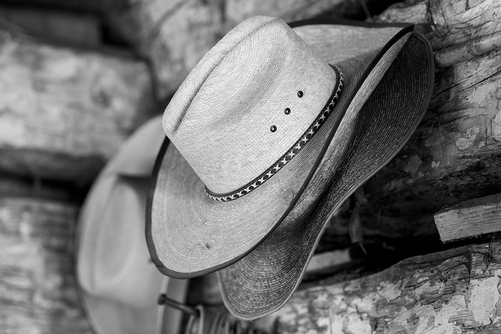 USA-Colorado-Westcliffe Music Meadows Ranch Tack room-cowboy hat detail